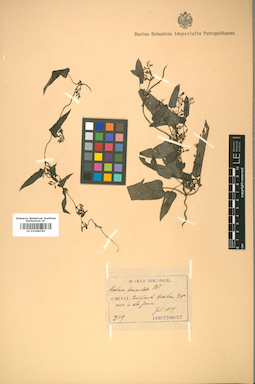 LE 01008790