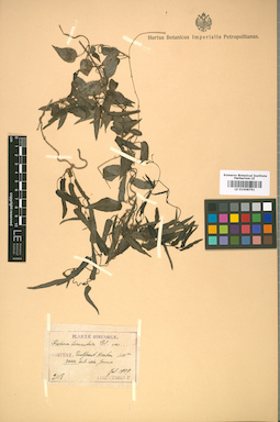 LE 01008791