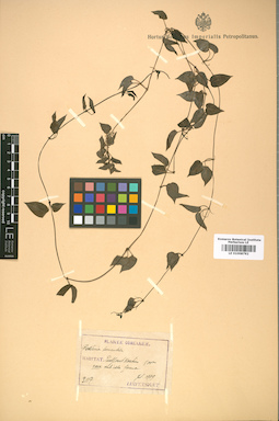 LE 01008792