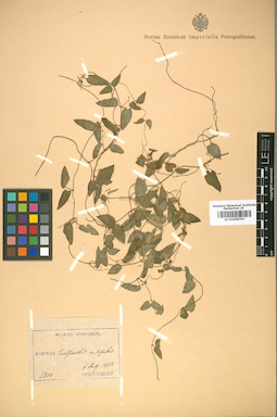 LE 01008793