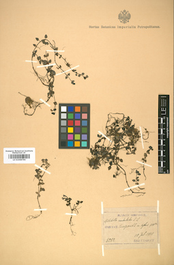 LE 01008796