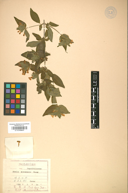 LE 01008805