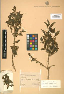 LE 01008816