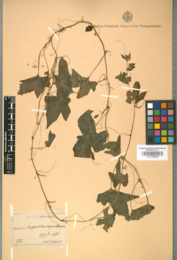 LE 01008869