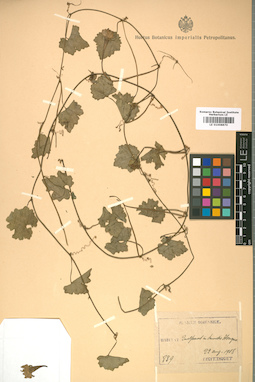 LE 01008870