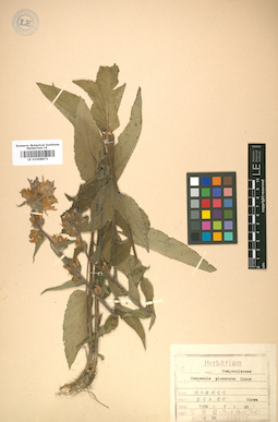 LE 01008873
