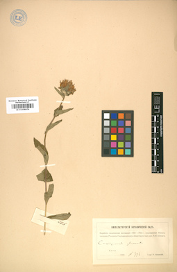 LE 01008874