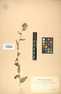 LE 01008876