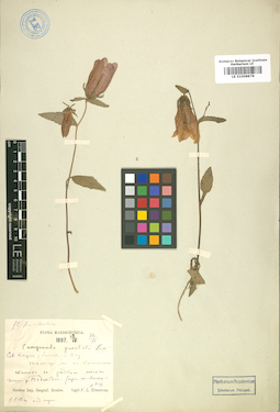 LE 01008878
