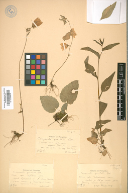 LE 01008879