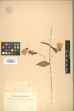 LE 01008880
