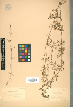 LE 01008913