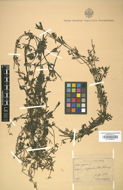 LE 01008914