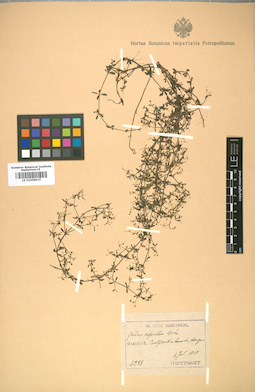 LE 01008915