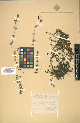 LE 01008916