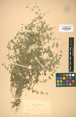 LE 01008919