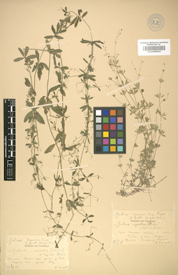 LE 01008920
