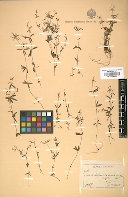LE 01008922