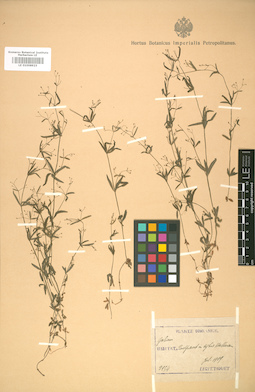LE 01008923