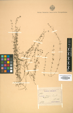LE 01008924