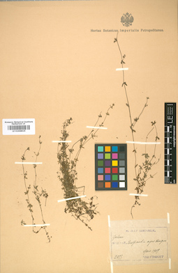 LE 01008925