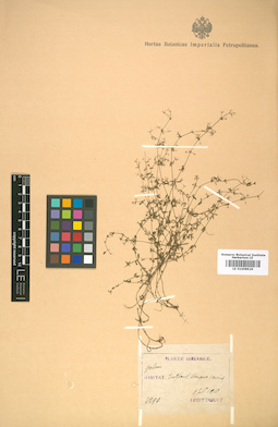 LE 01008926
