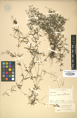 LE 01008927