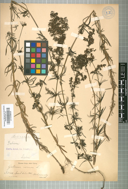 LE 01008929
