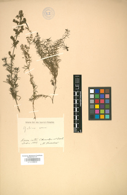 LE 01008930