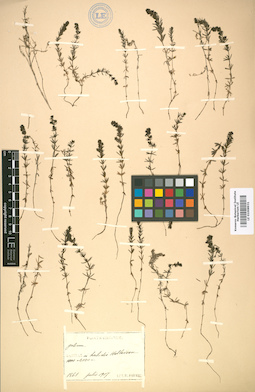LE 01008931
