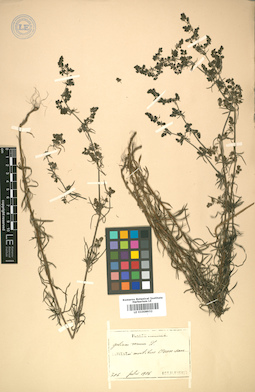 LE 01008932