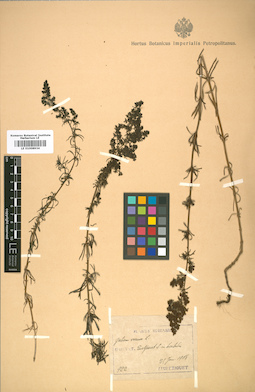 LE 01008934