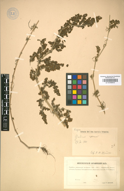 LE 01008936
