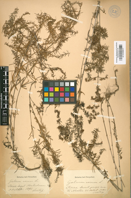 LE 01008937