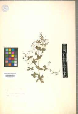 LE 01008940