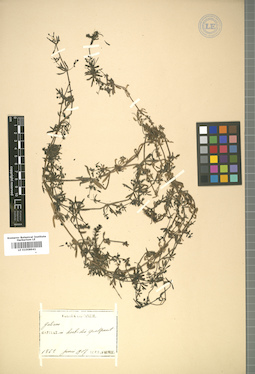 LE 01008941