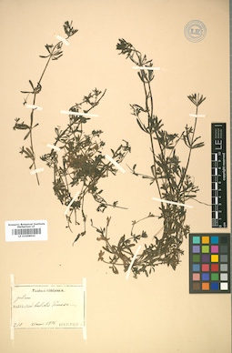 LE 01008942