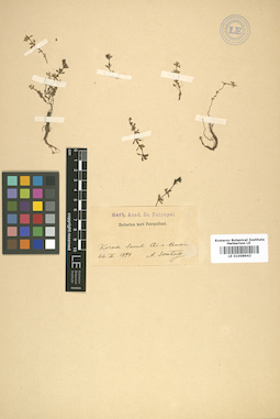 LE 01008943