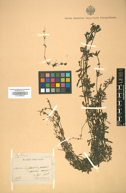 LE 01008944