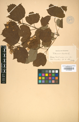 LE 01008989