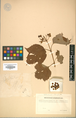 LE 01008993