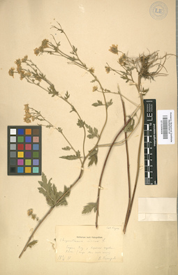 LE 01009009