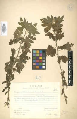 LE 01009011
