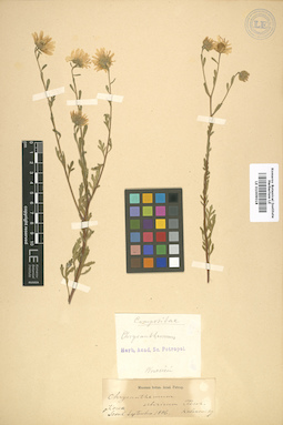 LE 01009018
