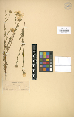 LE 01009019