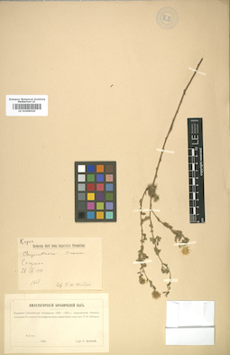 LE 01009020