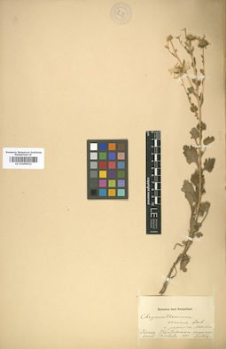 LE 01009021