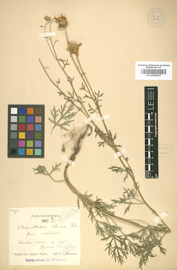 LE 01009025