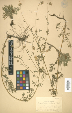 LE 01009027