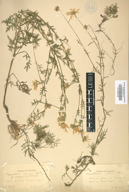 LE 01009028